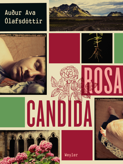 Title details for Rosa candida by Audur Ava Ólafsdottir - Available